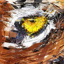 tz1Xr…GMAXr
